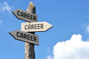 Career options degree
