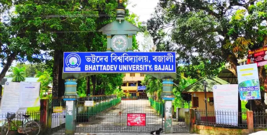 Bhattadev University