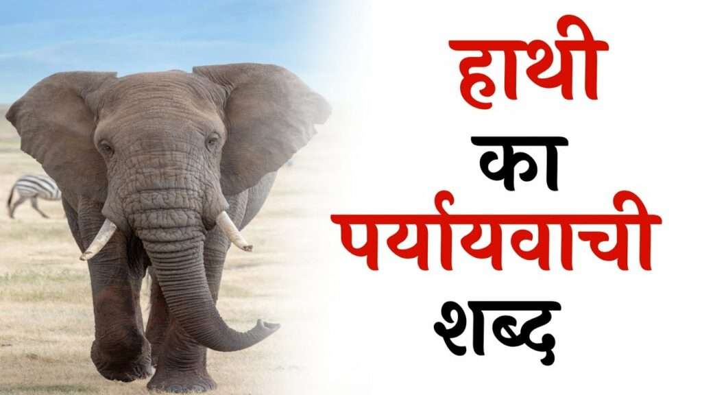 पर्यायवाची