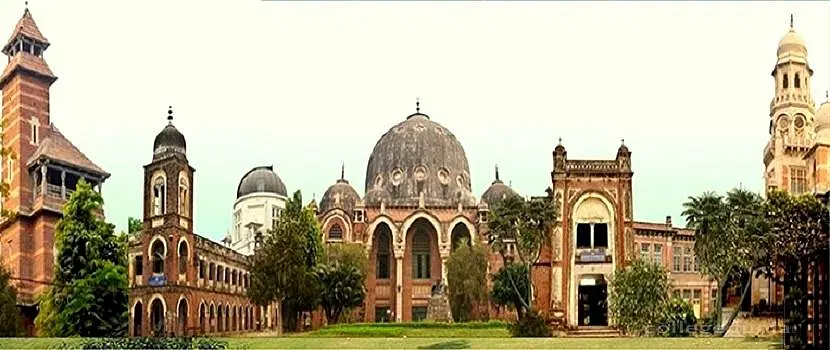 25500 Msu New