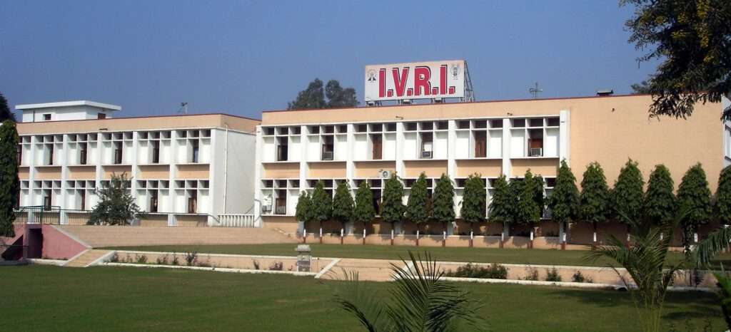 Ivri Deemed University careerguide