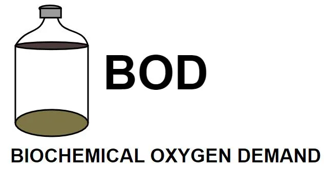 Bod Image