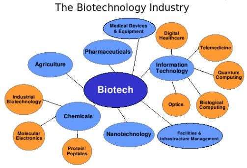 Scope Of Biotechnology