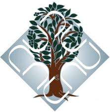 Ambedkar University Delhi (aud) Delhi 9 Top University Name 