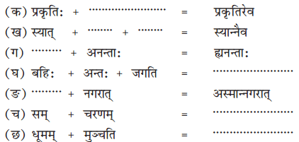 Ncert Solutions For Class 10 Sanskrit Shemushi Chapter 1 शुचिपर्यावरणम् 10