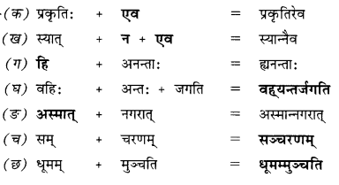 Ncert Solutions For Class 10 Sanskrit Shemushi Chapter 1 शुचिपर्यावरणम् 3