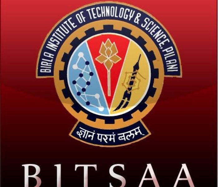 Bitsaa Global 30 Under 30 Awards.jpg